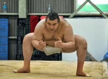 綱とり挑む安青錦、大阪で初稽古