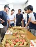 「抑制トマト」本格出荷　生産者ら目ぞろえ会　ＪＡうつのみや