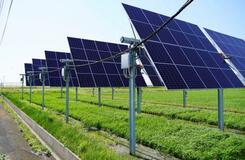 【営農型発電に大企業参入】農地一時転用９年で５０倍超