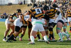 初出場の慶応志木などが勝つ