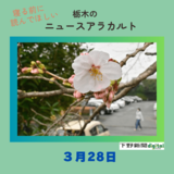 3月28日の栃木県内ニュース　「宇都宮で桜開花　平年より２日早く」など3本をお届けします