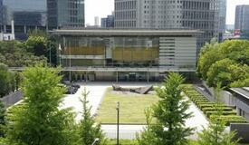 政府、ＳＮＳ詐欺広告の規制検討