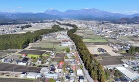 至宝日光杉並木、400年の時刻み次世代へ　成り立ちや現状、レンズを通して世界に誇る財産を見つめる