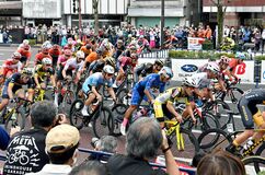 ジャパンカップ熱狂再び　クリテリウム５万人が沿道埋める【動画】