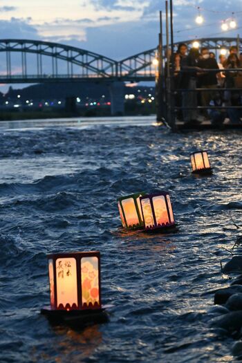 思いを込めた灯籠、渡良瀬川を照らす 足利で夏の風物詩・灯籠流し