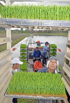 丹精して育てた苗を田植え機に運び、作業する人たち＝８日午前10時40分、大田原市滝岡