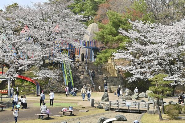 八幡山公園の桜と花見客＝８日午後