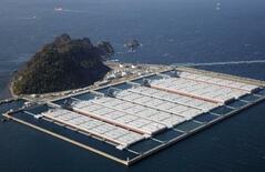 ＩＥＡの石油協調放出、日本２割