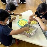児童が育てた蚕の繭、品評会で最高位　小山・絹義務教育学校