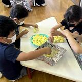 児童が育てた蚕の繭、品評会で最高位　小山・絹義務教育学校