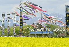 那須でこいのぼりと菜の花の競演