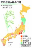 コメ作柄 おおむね良好