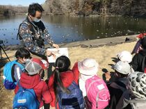 バードウオッチング　身近な公園にも野鳥の姿
