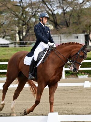 馬術成年男子自由演技馬場馬術　ファーストオリバー号を操り、優勝を決めた鈴木＝那須塩原市の地方競馬教養センター