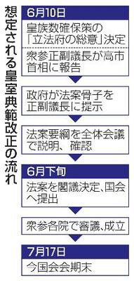 想定される皇室典範改正の流れ