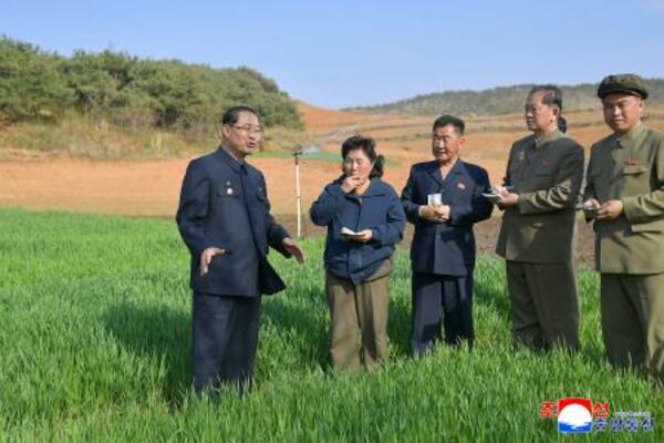　農場を視察する北朝鮮の朴泰成首相（左端）（朝鮮通信＝共同）