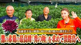 灘の赤菊の最高峰「秀の極」を求めて藤原紀香が淡路島へ 灘花卉部会の生産…