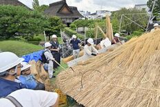 【夕刊】茅葺き屋根のふき替え進む