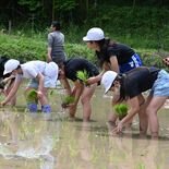 水面に映る元気と協力　佐野・犬伏小の５年生が田植え体験