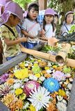 菊の花手水を囲む