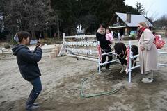 千本松牧場で迎春祭り開催