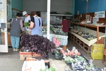 とりたて野菜直売所　ＪＡなす南　地元にこだわり、鮮度に自信