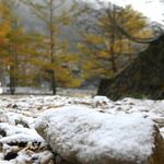 「白く染まった景色も最高」　日光・金精道路周辺や那須岳で降雪　気温は０度近くに
