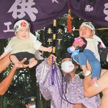 鹿沼・生子神社の「泣き相撲」９月24日開催　参加枠千人に拡大
