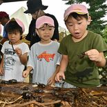 カブトムシがいっぱい！　那須塩原・ブリヂストン工場で園児招き見学会