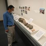 茂木で「五輪塔」展　武士の生と死に迫る　文書で供養の当人推定