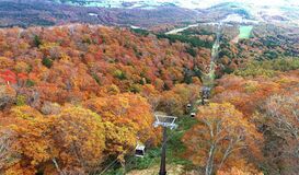 ゲレンデ彩る秋の色　マウントジーンズ那須