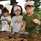 カブトムシがいっぱい！　那須塩原・ブリヂストン工場で園児招き見学会