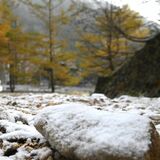 「白く染まった景色も最高」　日光・金精道路周辺や那須岳で降雪　気温は０度近くに