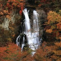 第29回下野新聞紙上写真コンテストー選外佳作ー