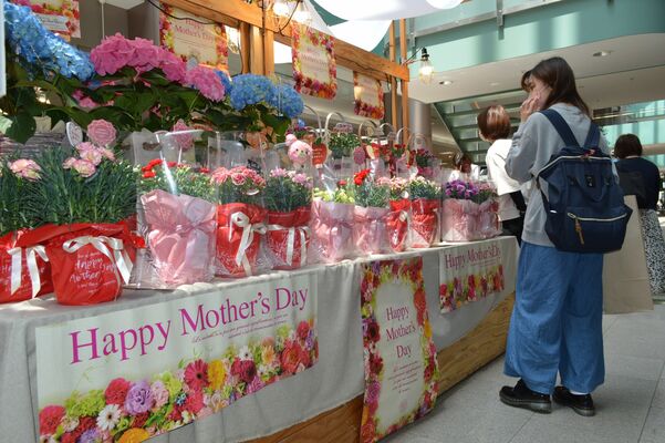 カーネーションやアジサイが並ぶＦＫＤインターパーク店の特設ブース＝12日午前、宇都宮市インターパーク６丁目