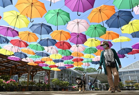 空を埋め尽くす７色の傘