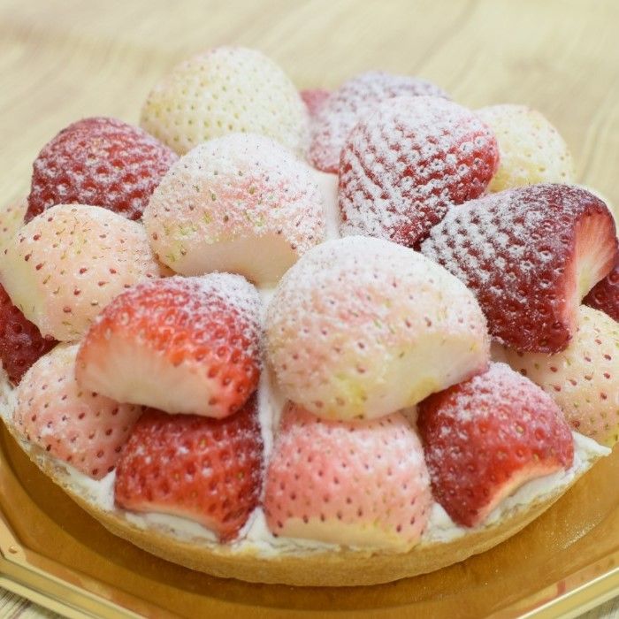 ココニコ 命名苗 苺恋 いちご 【公式通販】