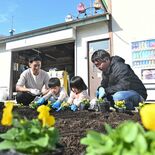 冬の彩り、市民ら協力　鹿沼・千手山公園　花壇に寄せ植え