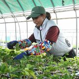 技能実習生の受け入れ進む　ＪＡグループ栃木「プラスアグリ」　コロナ対策緩和で拡大