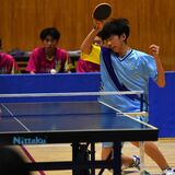 インターハイ栃木県予選卓球男子団体　青藍泰斗、激戦制し２連覇