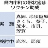 帯状疱疹ワクチン、本年度７市町助成　50歳以上対象　発症者増加、要望の声多く