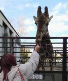 【栃木いいね散歩】子供向け？大人も満喫　宇都宮のレジャー施設