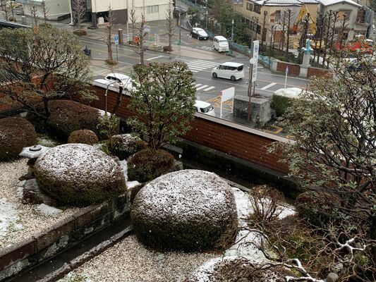 雪が降る宇都宮市内＝８日午前８時25分