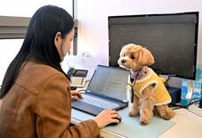 ペットは家族、会社に同伴出勤できる制度