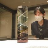 物語や歴史の「主人公たち」紹介　佐野の吉澤記念美術館で企画展　9月下旬…