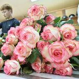 母の日向けバラ出荷大詰め　壬生　人気の色は