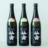 せんきん（さくら）が２季目の江戸返り「仙禽　初槽」