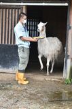 ラマ「タケコ」の長寿を祝う　宇都宮動物園で敬老会