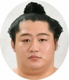 人気力士 遠藤が引退
