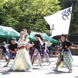 宇都宮ろまんちっく村でよさこい　500人が力強い演舞　県内外から17チーム